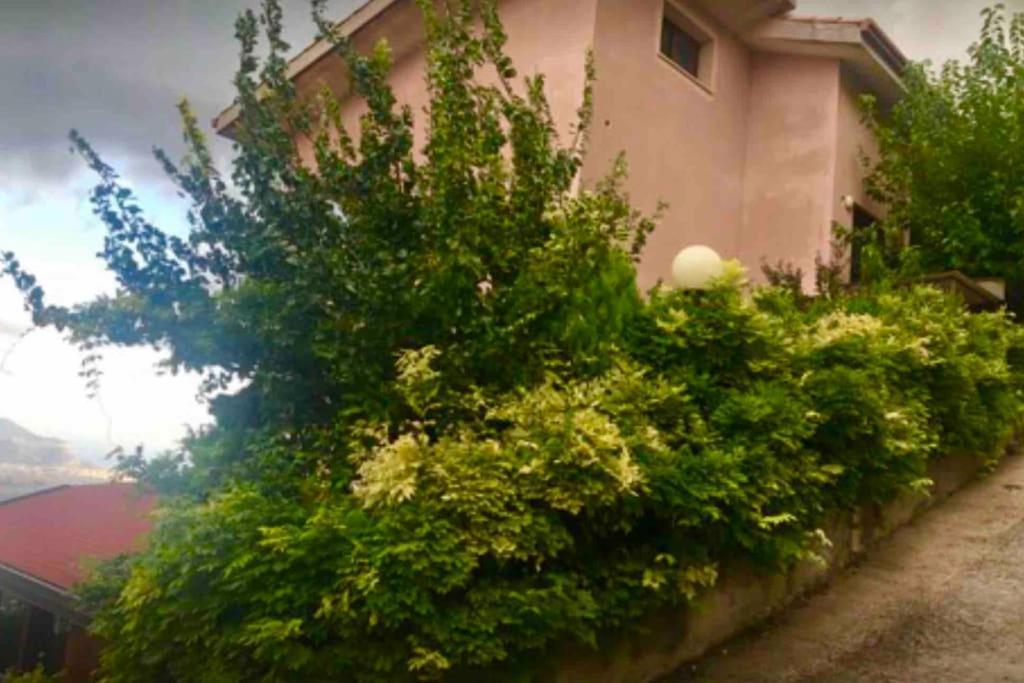 Altofonte Il Panorama 아파트 외부 사진